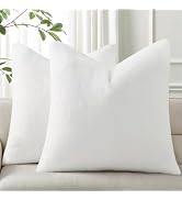 Pallene Faux Fur Plush Throw Pillow Covers 18x18 Set of 2, Soft Fluffy Couch Pillow Covers for Li...