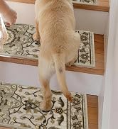Stair Treads for Wooden Steps