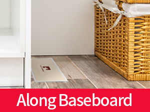 Mouse & Insect Glue Boards