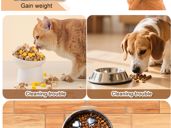 Stainless Steel Slow Feeder Dog Bowls