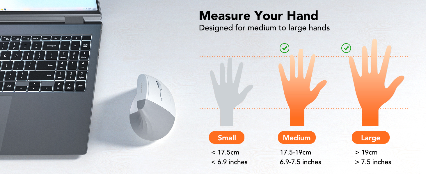 Small medium large hands