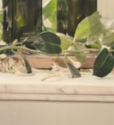 Shop Neroli Leaf Collection