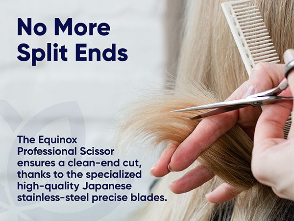 Split End Mobile
