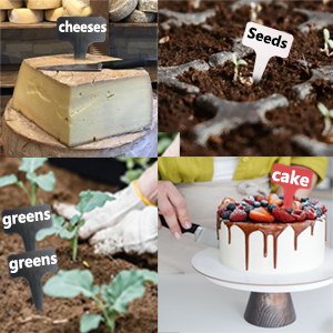 Thick Plastic Plant Labels