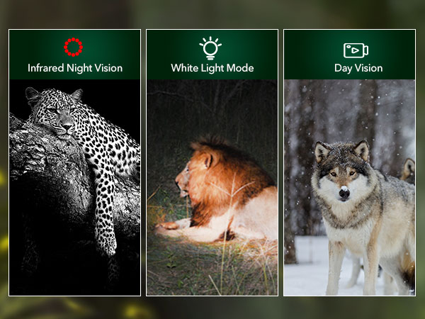 2K trail cameras with night vision motion activated waterproof