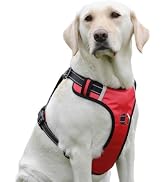PenSeepet Dog Harness No Pull Dog Harness with 2 D-Ring,Adjustable Reflective Soft Padded Dog Ves...