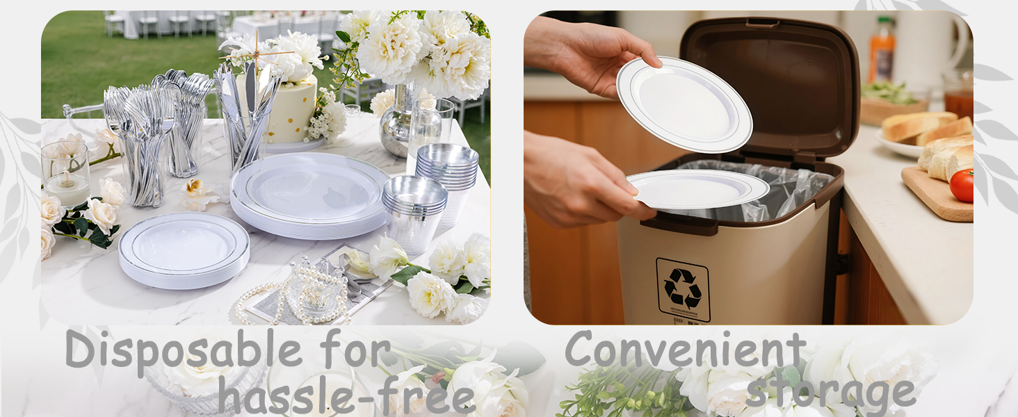 disposable Dinnerware Set