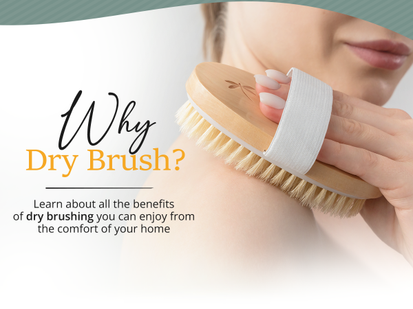 dry brushing body brush for lymphatic drainage, bath brush, dry brush, exfoliator
