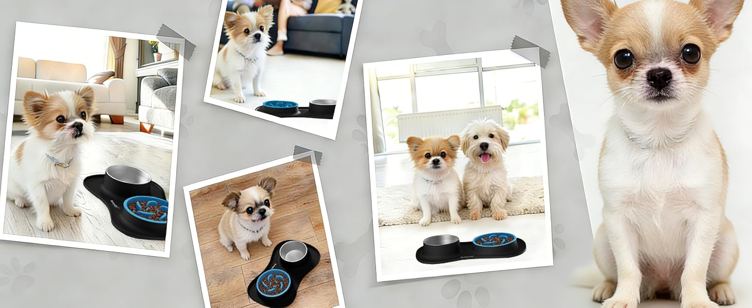 dog slow feeder