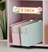 file cabinet hanging folders