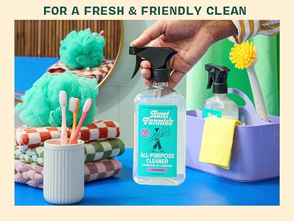 pink disinfectant toilet cleaner vinegar stainless steel