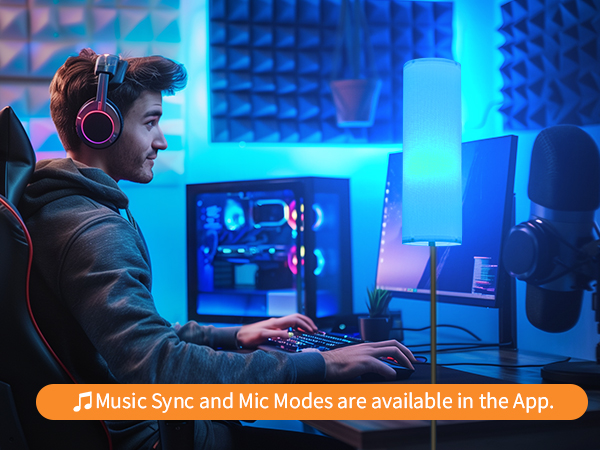 Frideko Floor Lamp with Sync Music Mode