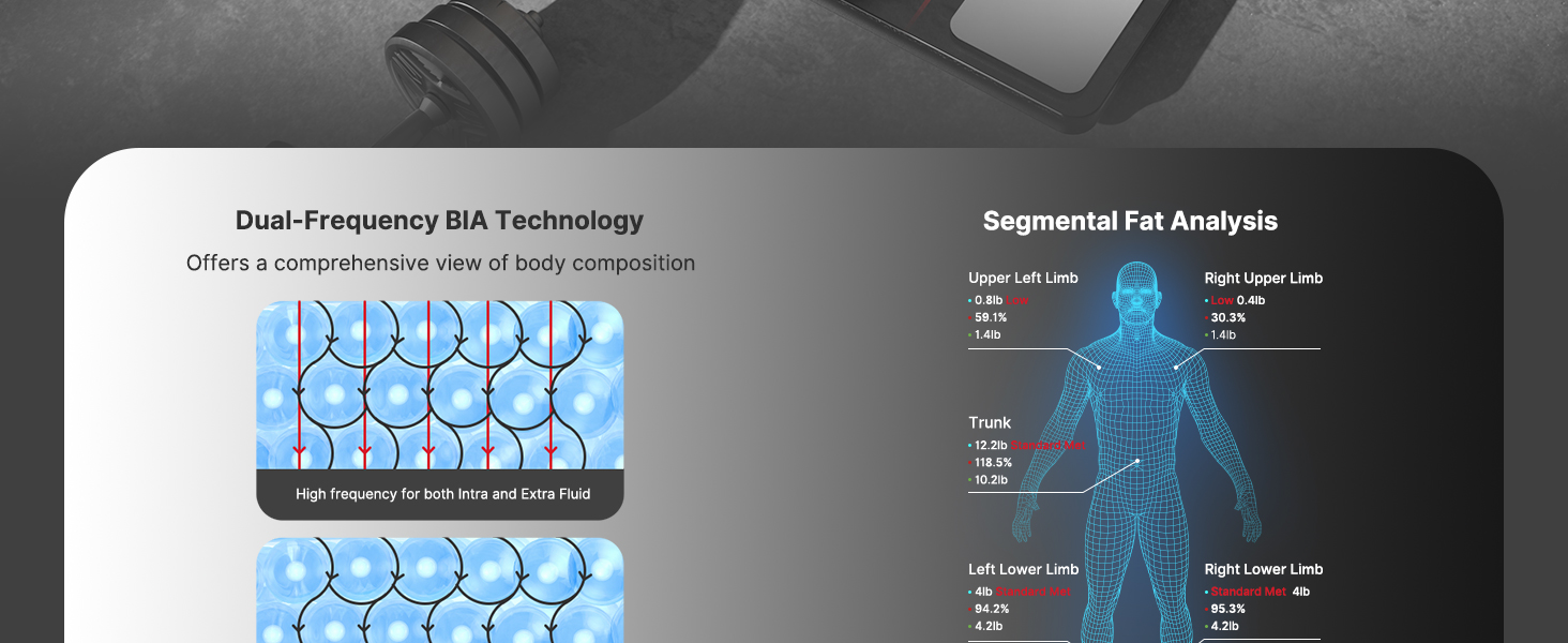 Fitindex smart scale uses BlA technology to provide a comprehensive view of body composition