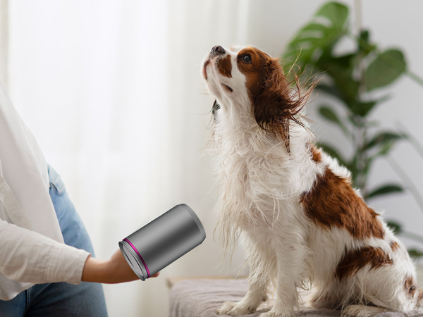 hair dryer