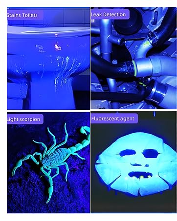 uv flashlights