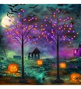 2 Pack 6FT Lighted Black Halloween Tree with 288 LED Orange & Purple Lights | Halloween Decoratio...