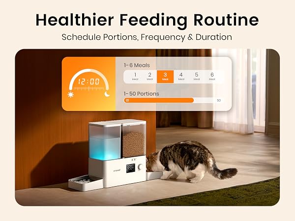 automatic cat feeder and water