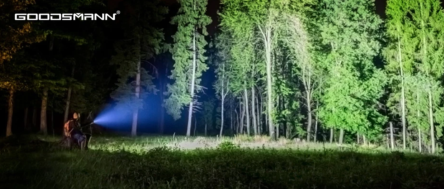 Landscape Lights