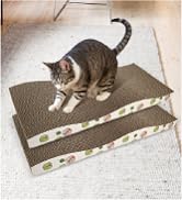 cat scracher