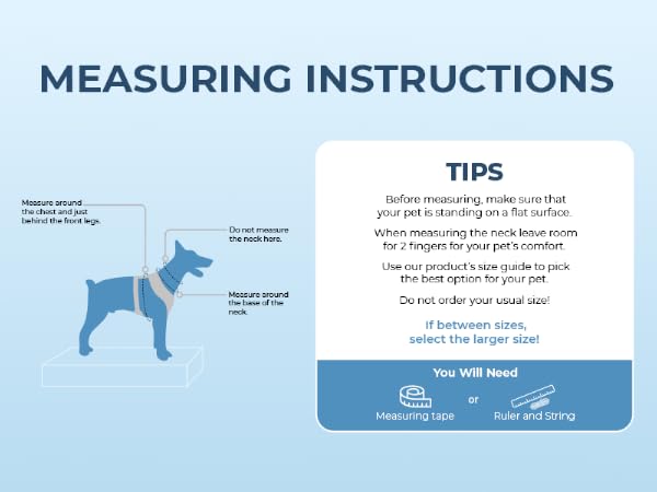 GUIDE