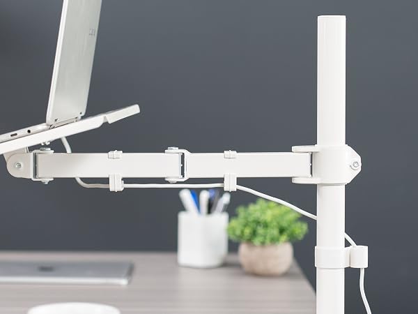 Laptop Tray and Desk Mount