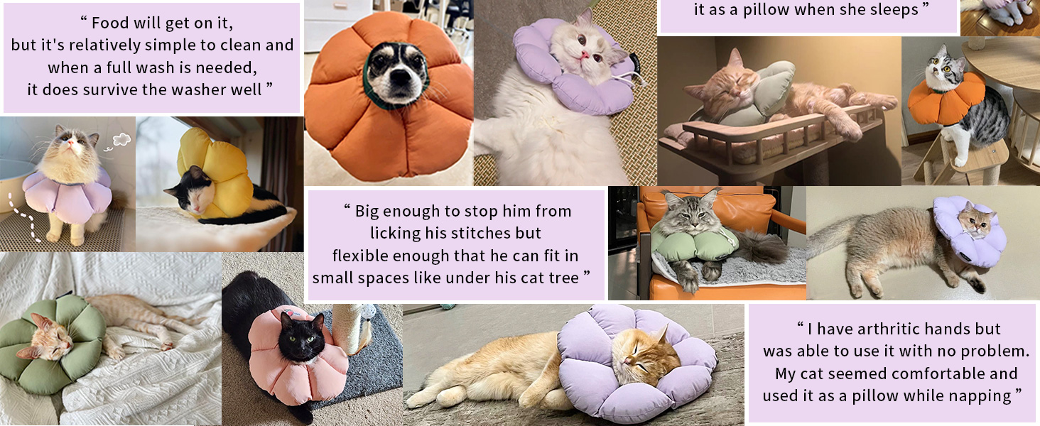 1-2cat cone