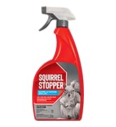Animal Stopper 073095, 32 Fl Oz (Pack of 1), Messina Wildlife SQ-U-016 Squirrel Stopper 32-Ounce ...