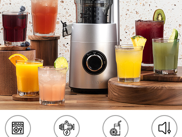 Masticating Juicer