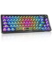 CHICHEN 60% Portable Mechanical Gaming Keyboard,Hot-swappable RGB Backlit Compact 68 Clear Keycap...
