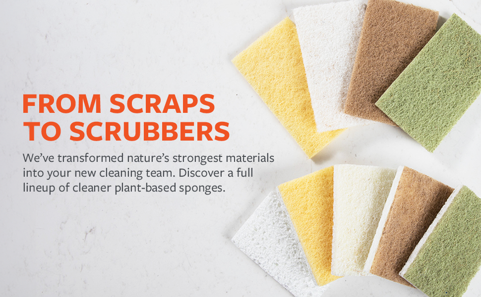 sponges