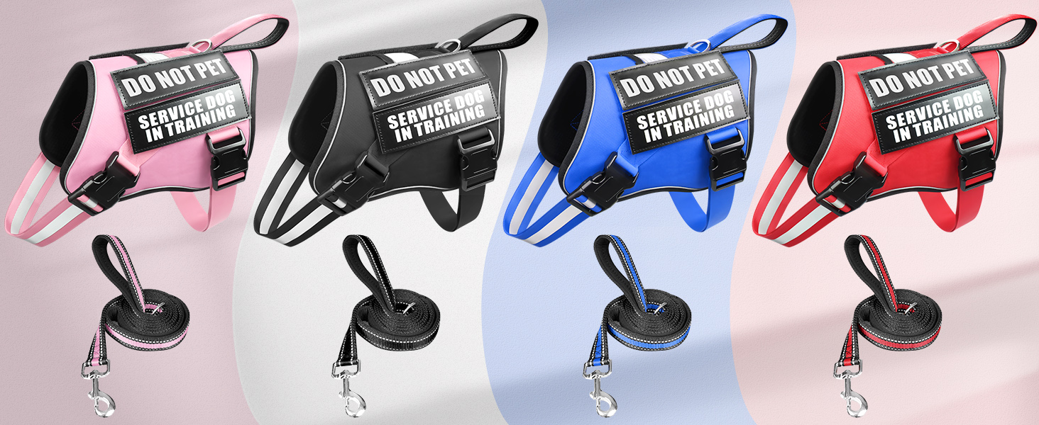 dog harness and leash set
