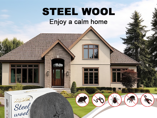 STEEL WOOL