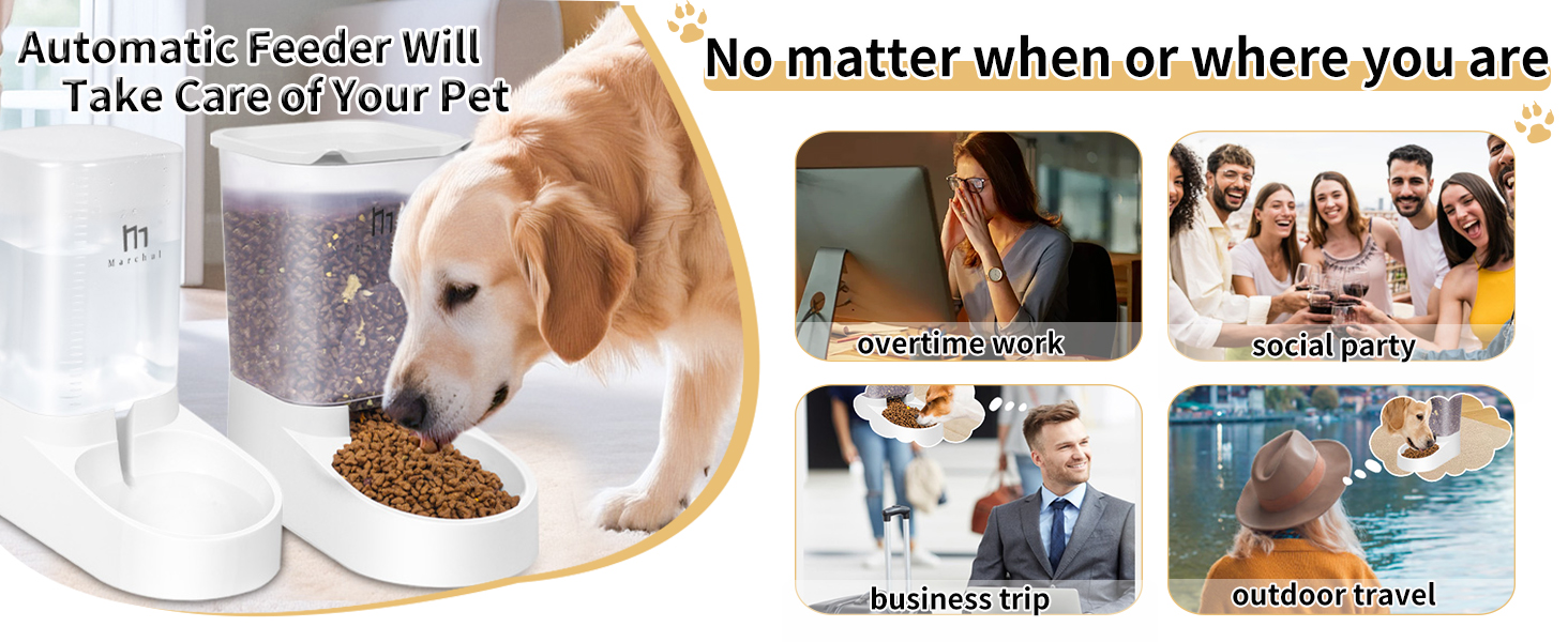 dog feeder