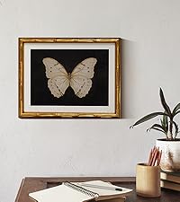 https://m.media-amazon.com/images/S/aplus-media-library-service-media/00e074e7-43a7-41eb-9f28-b8eccb7bce6e.__CR100,0,400,450_PT0_SX200_V1___.jpg
