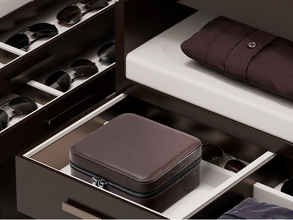 Watch organizer