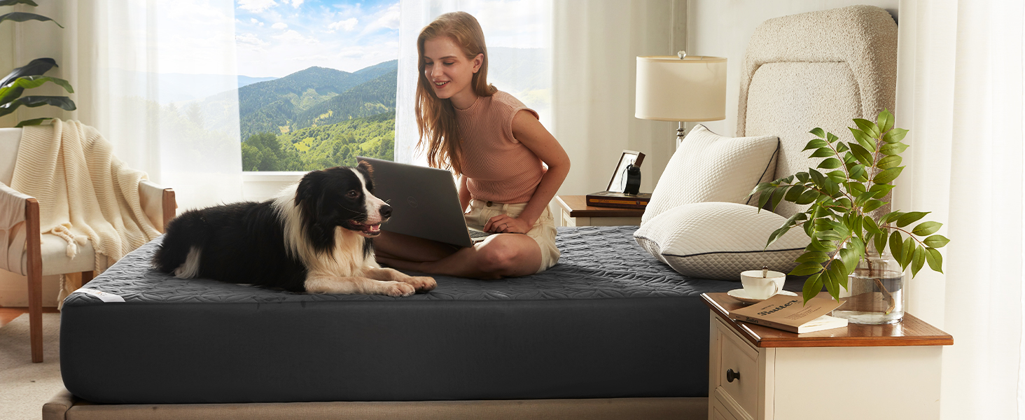 BEDLORE waterproof mattress protector