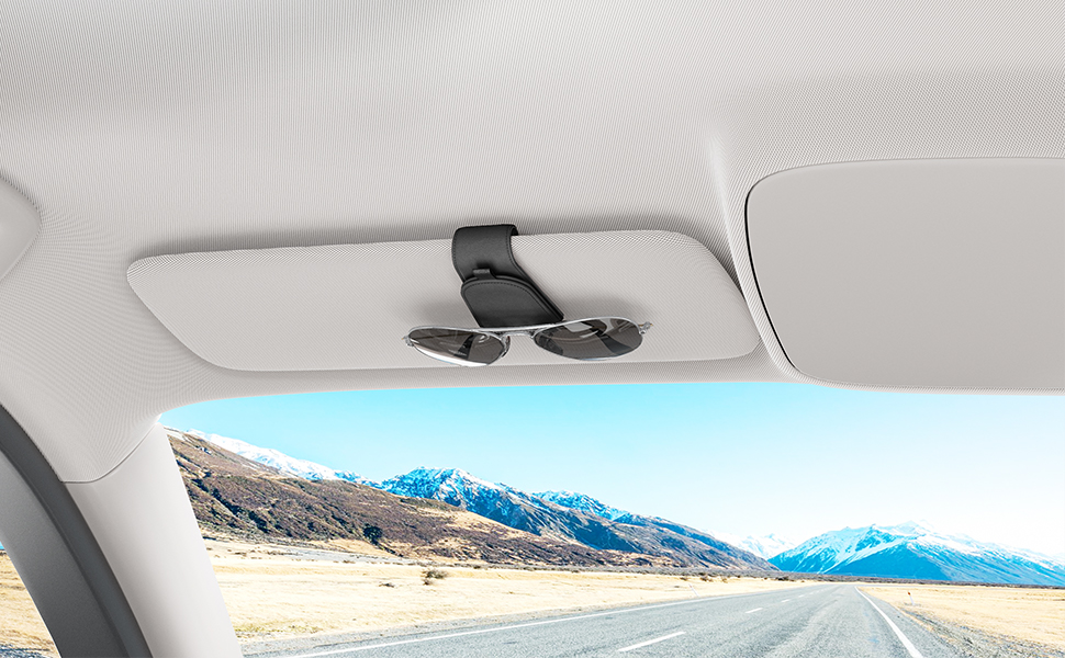sunglasses holder for car
