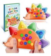 Color Sorting Toys Sensory Toys : Fine Motor Skill Games Learning Toys for Toddlers, Color Matchi...