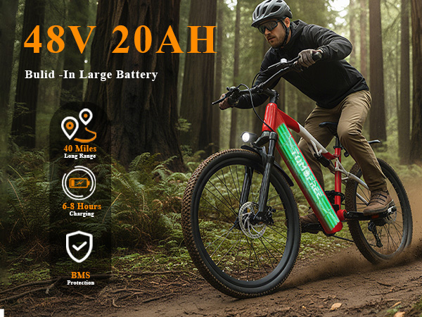 mountain electric bikes