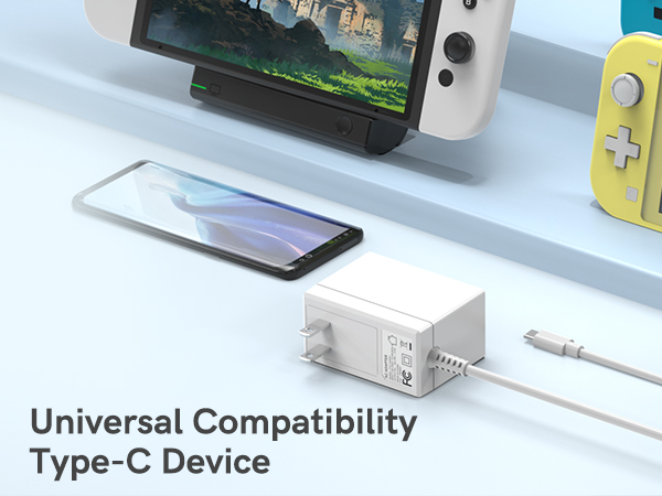 Nintendo Switch charger