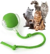 Rocfish Durable Interactive Cat Toys for Indoor Cats, Smart Automatic Cat Chase Ball Toy, Upgrade...