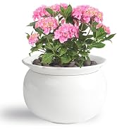 BUYMAX African Violet Pots, 6 inch Ceramic Easy Self Watering Plant Pot for Busy Plant Lovers, Au...