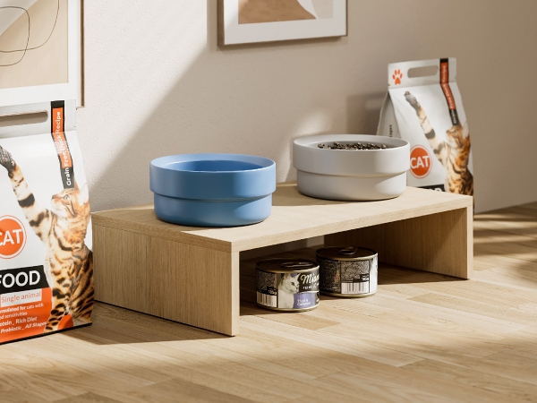 floor shelf for pet