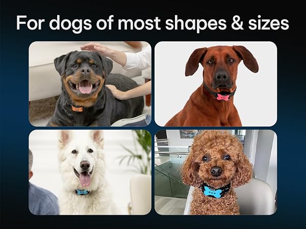 DogRook Bark Collar - For dogs of most shapes & sizes