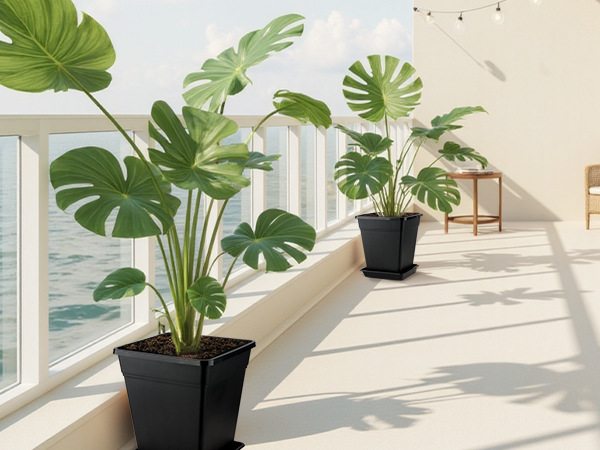 planter pots