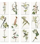 Berkin Arts 12 All Occasion Classic Art Greeting Cards Gift Cards Bundle with 12 Envelopes, 4x6 I...