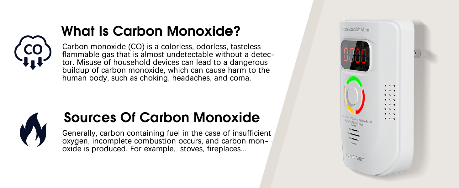 carbon monoxide detectors/smoke