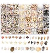 Zefy 23 Types Small Sea Shells for Crafts, 1200 Pcs Tiny Seashells with Mixed Size Starfish, Mini...