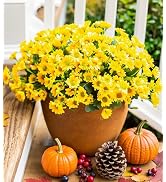 Daisy Artificial Flowers for Outdoors Fall Autumn Decoration, 6 Bundles Fake Mums Yellow Silk Flo...