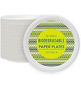 Paper Plates 10 Inch